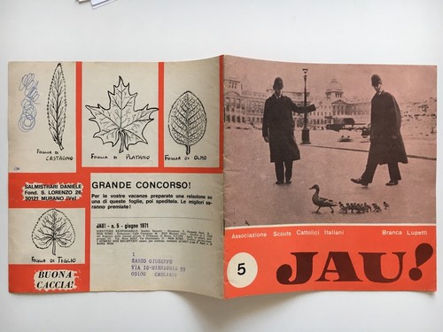 Jau 1971 5 - n.,