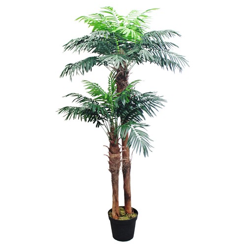 Palma cocco pianta - , finta