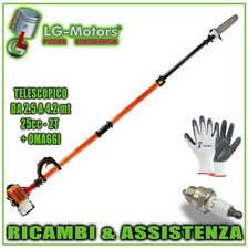 Motosega Potatore Svettatoio