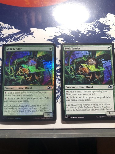 Molt tender foil regolare - molt,