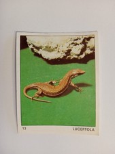 FIGURINA IL MONDO DEGLI