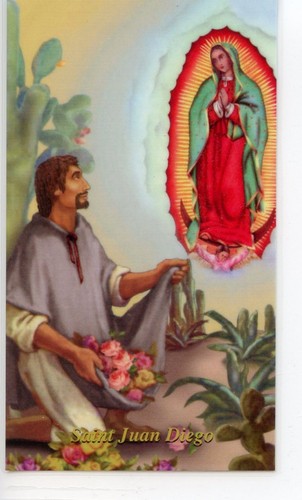 Juan diego sacro card - diego,