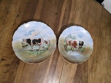 Antica Coppia Di Piatti Collezione Ceramica Inglese Royal Crown Derby 30cm