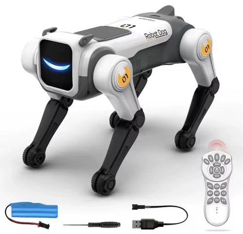 Meccanico cane - rc,
