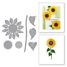 Set fustelle da taglio in