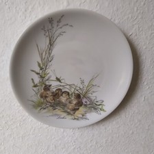 Piatto da parete piatto da