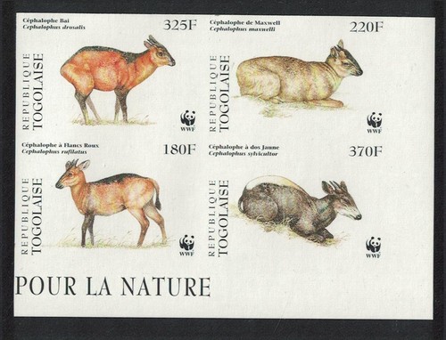 Togo wwf west african - west, duikers