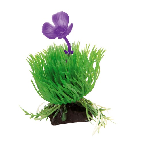 Decorazione per acquari