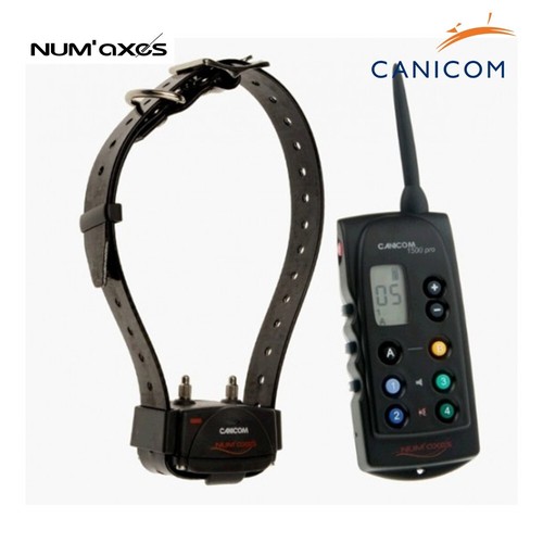 Num axes canicom - num'axes,