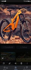telaio enduro full 29 carbonio 2024 canyon torque tg M