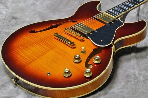 Chitarra elettrica semivuota
