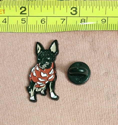 Carino miniatura pinscher cane - miniatura,