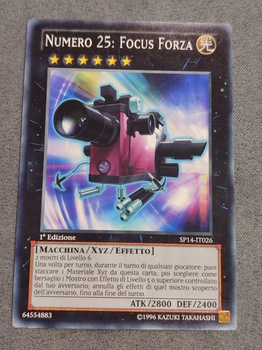 Numero focus forza - focus,