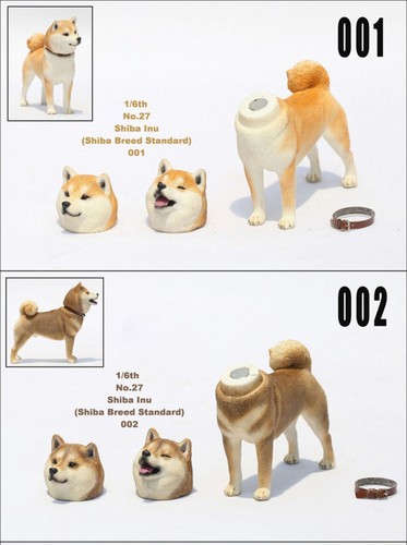 Jxk simpatico shiba - 1/6, inu