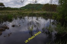 Photo 6x4 Pool on Bellart How