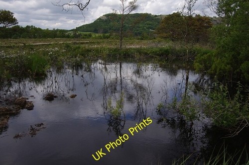 Photo 6x4 pool bellart how - on,