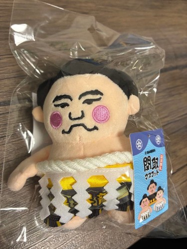 Sumo wrestler yokozuna - wrestler,