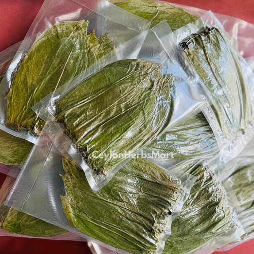 Tisana secca foglie soursop - foglie, di