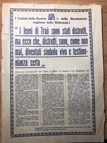 Documento comitato azione - comitato,