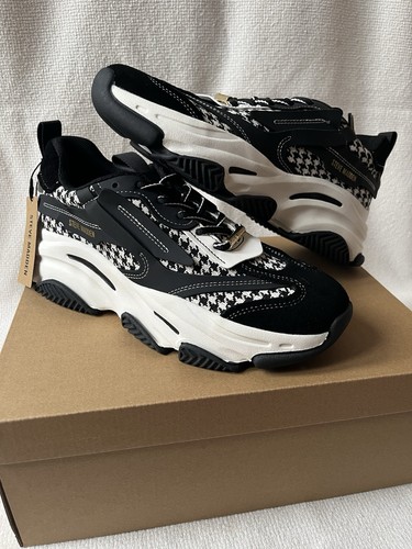 Scarpe ginnastica steve - scarpe,