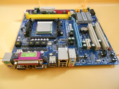 Scheda madre gigabyte - scheda,