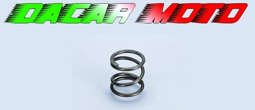228 0000 molla - 228.0000, frizione