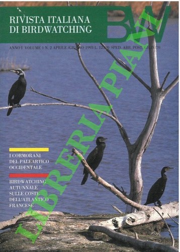 Bw rivista - (bailo,