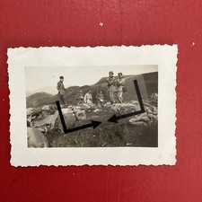 Salerno,Gruppo Militari,fascismo,Monte Giovi,animata,FML13