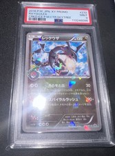 Rayquaza 232/Xy-p Skytree