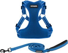 Voyager set di - -,