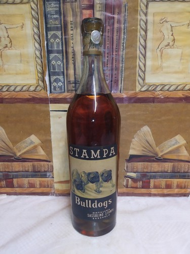 Sassolino stampa bulldogs - sassolino,