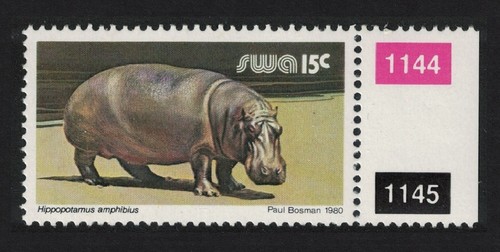 Carta gesso animali - , selvatici