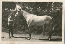 Soldato con cavallo Cavalleria