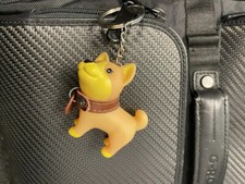 Shiba Inu Carino Cucciolo