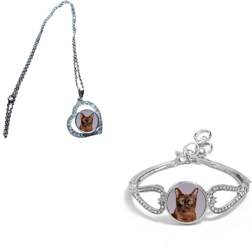 Set burmese cat pet - 2,