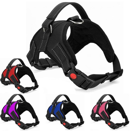 Imbracatura per cani pull - no,