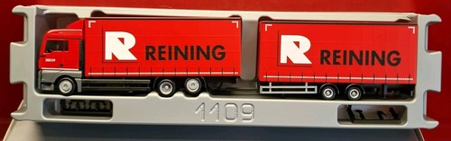Man tgx xlx - e6, reining