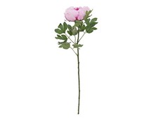 4 pezzi - Ramo di Peonia