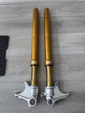 Ohlins FGRT 230 NIX30 Forcelle