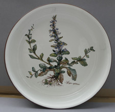 Villeroy Boch Botanica ciotola
