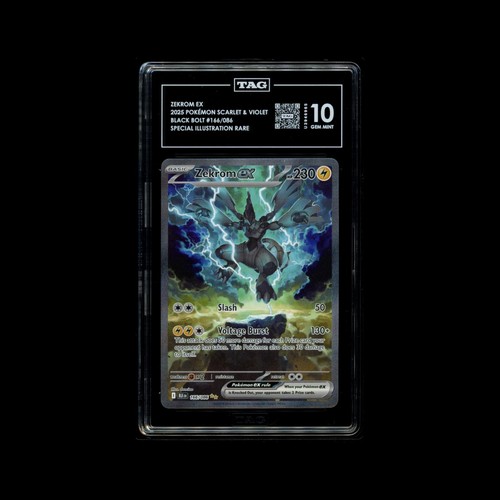 Zekrom sir bullone nero - zekrom, ex
