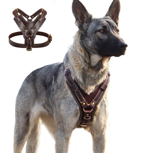 Imbracatura per cani - imbracatura,