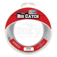 Asso Fluorocarbone Big Catch