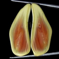 35,80 Cts Giada Imperiale