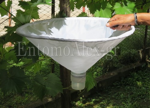 Ombrello entomologico ø60cm - entomologico,