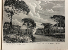 n. 2 incisioni xilografie