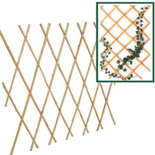 Traliccio In Bambù Rete