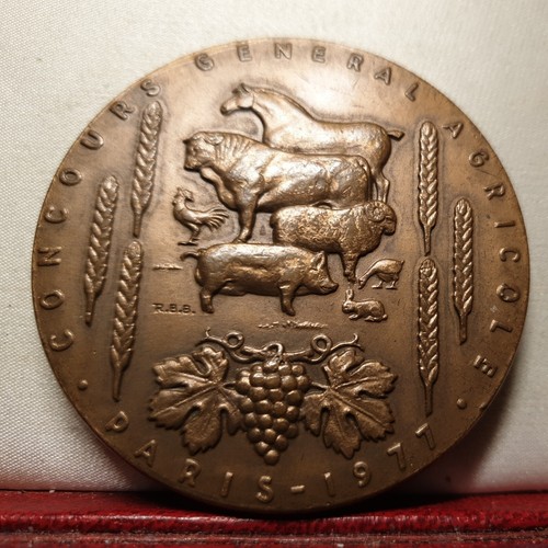Medaglia arte bronzo - medaglia,