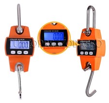 Bilancia professionale