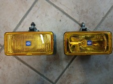 Coppia Fanali Fendinebbia